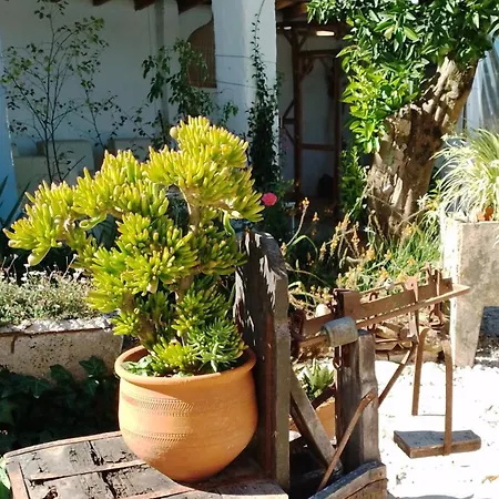 Konukevi Quinta Castilho