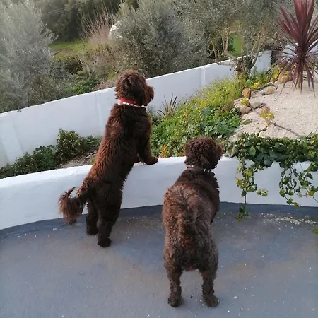 Konukevi Quinta Castilho Fortes de Cima