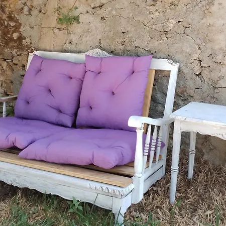 Quinta Castilho 게스트하우스