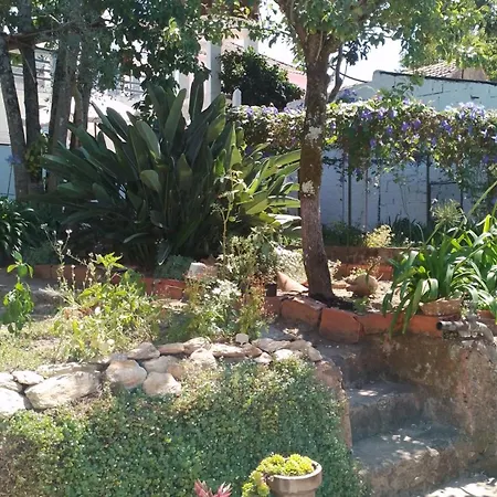 Quinta Castilho * Fortes de Cima